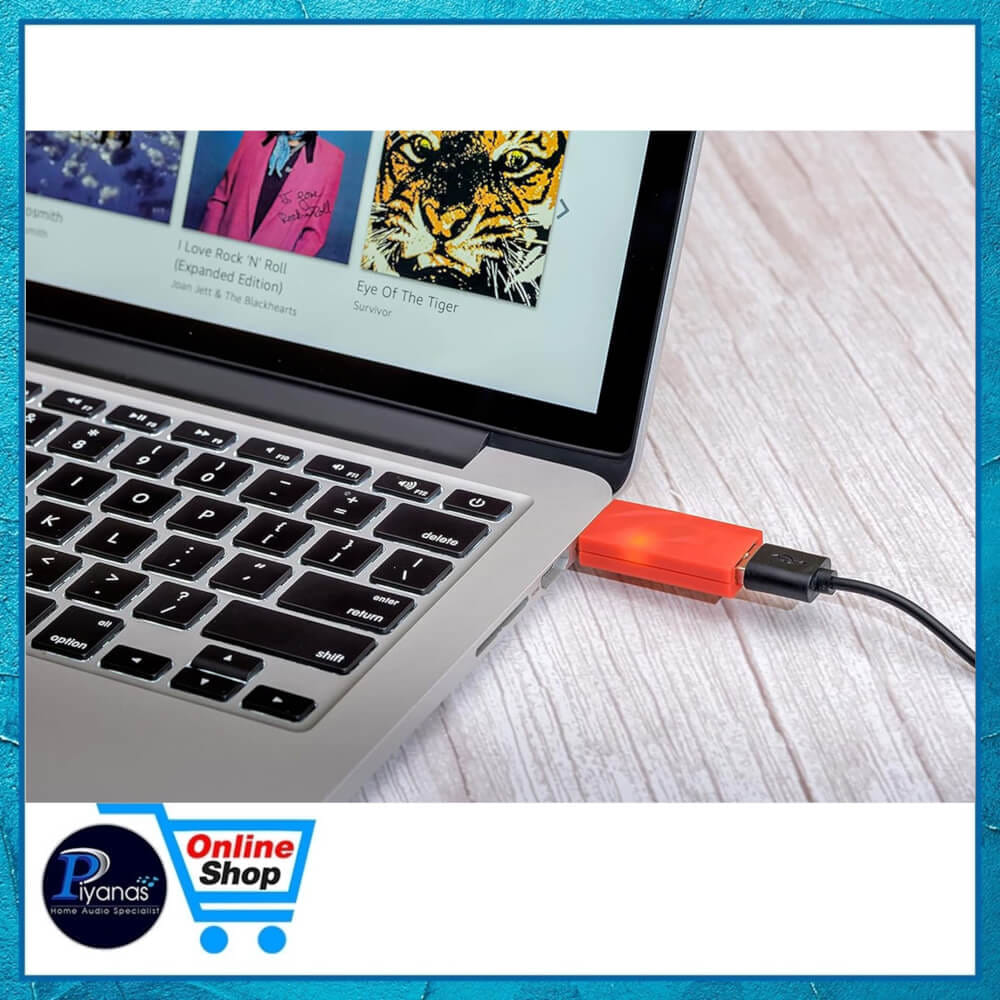 อุปกรณ์ลดสัญญาณรบกวน IFI AUDIO : IDEFENDER+ (USB A TO A)